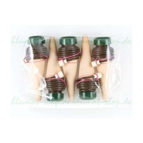 XL Lot de 5 distributeurs d'eau pour grandes plantes d'intérieur