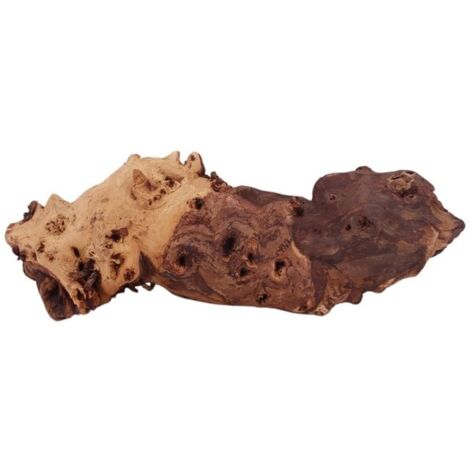 XL Mopani Wurzel Nr.9391 Holz Deko Aquascaping