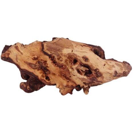 XL Mopani Wurzel Nr.9394 Holz Deko Aquascaping