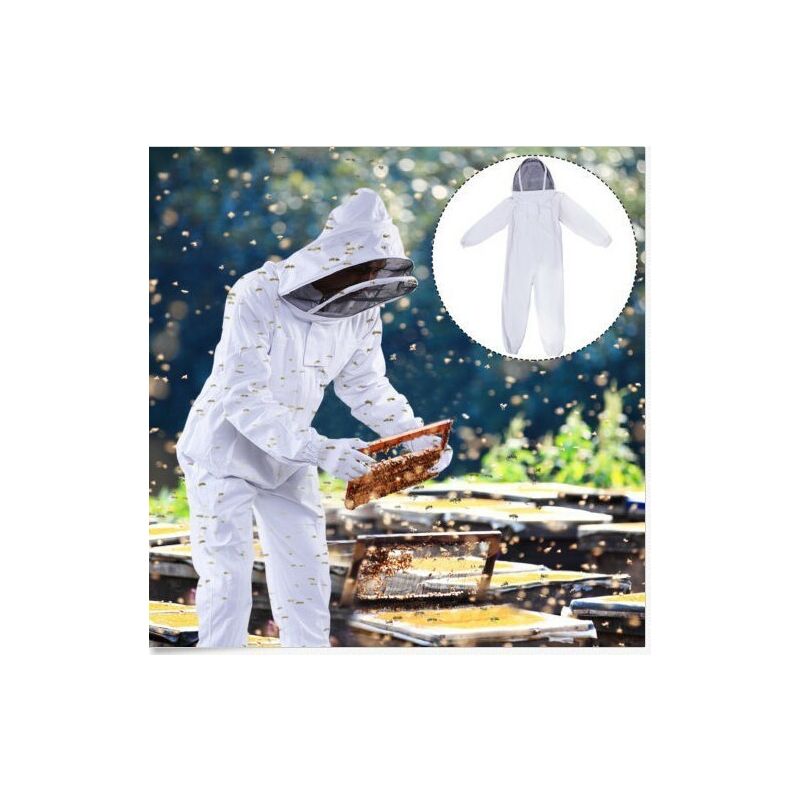 Linghhang - xl) Vêtements d'apiculture - Blanc175-185cm, Équipement de protection des abeilles pour apiculteurs professionnels avec capuchon de voile