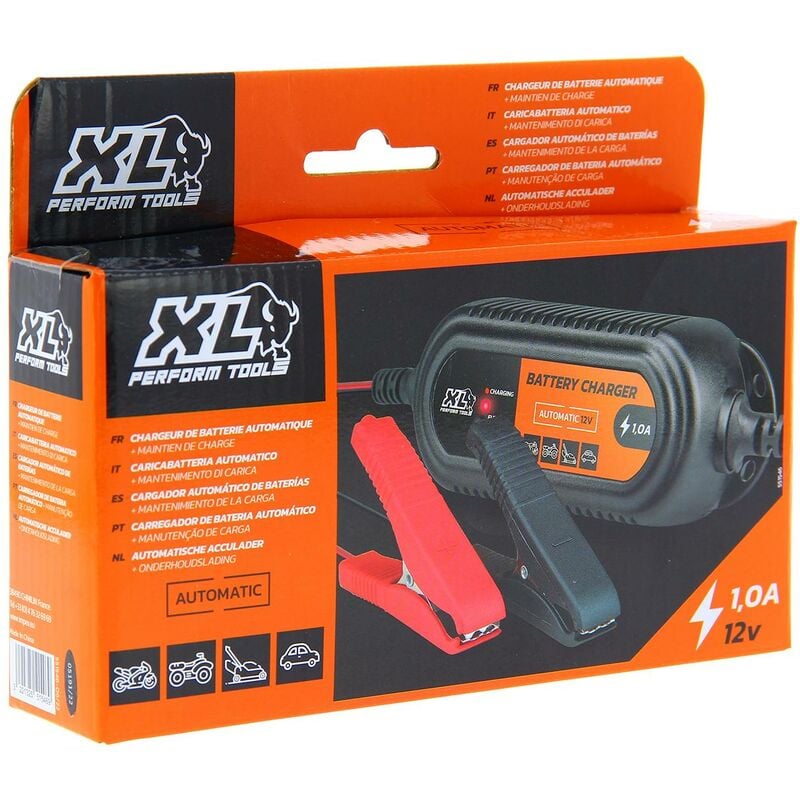 Xlpt Chargeur de batterie 1A 12V