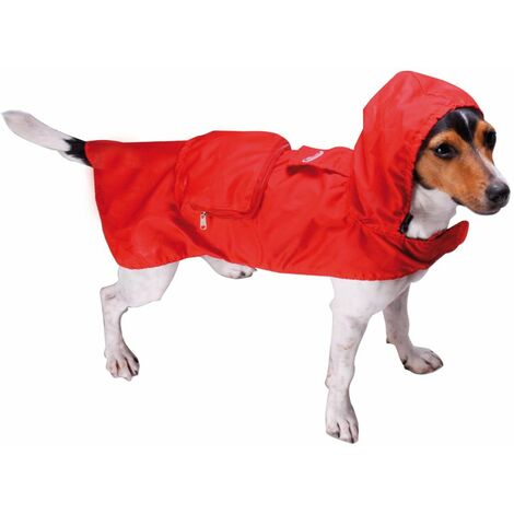 imperméable pour teckel