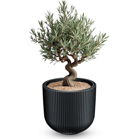 XXL Blumentopf rund 47 x 38 cm aus Kunststoff in anthrazit mit entnehmbarem Pflanzeinsatz – wetterfest UV-beständig frostsicher