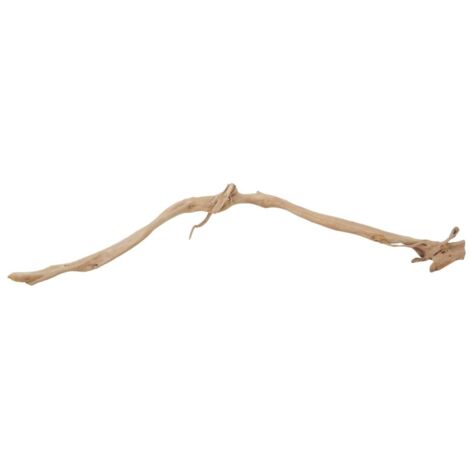 XXL Moorkienwurzel Nr.9810 Holz Deko Aquascaping
