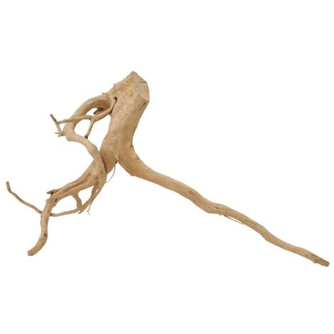 XXL Moorkienwurzel Nr.9815 Holz Deko Aquascaping
