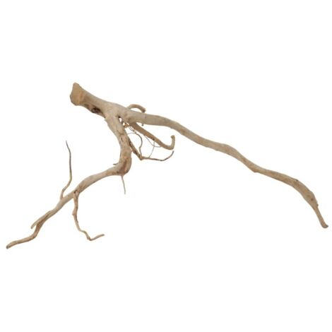 XXL Moorkienwurzel Nr.9827 Holz Deko Aquascaping