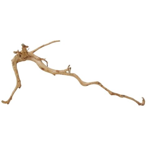 XXL Moorkienwurzel Nr.9843 Holz Deko Aquascaping
