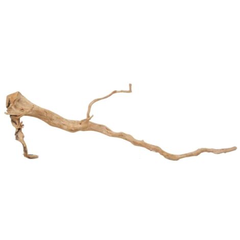 XXL Moorkienwurzel Nr.9848 Holz Deko Aquascaping