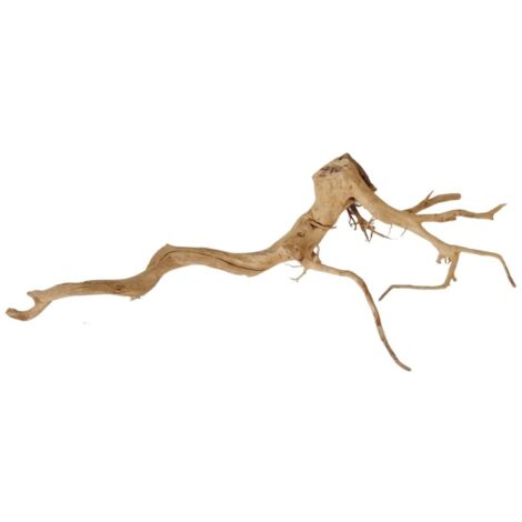 XXL Moorkienwurzel Nr.9853 Holz Deko Aquascaping
