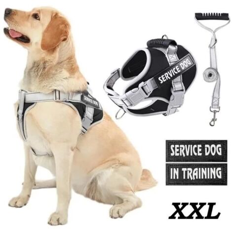 (xxl-noir + gris)Harnais Chien XXL,Réfléchissant Harnais Anti Traction avec Laisse pour Chien et Poignée Rembourrée, pour Moyen Grand Chien, Noir