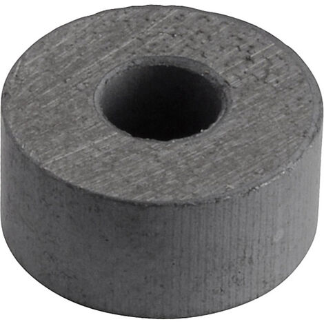 Y-10T Permanent-Magnet Ring (Ø x L) 15 mm x 7 mm BaFe 0.1 T