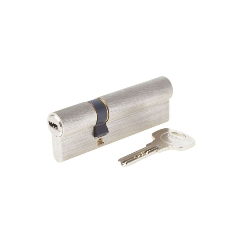 Cylindre débrayable 6 goupilles 4 clés 1 carte 30 x 60 mm - Yale