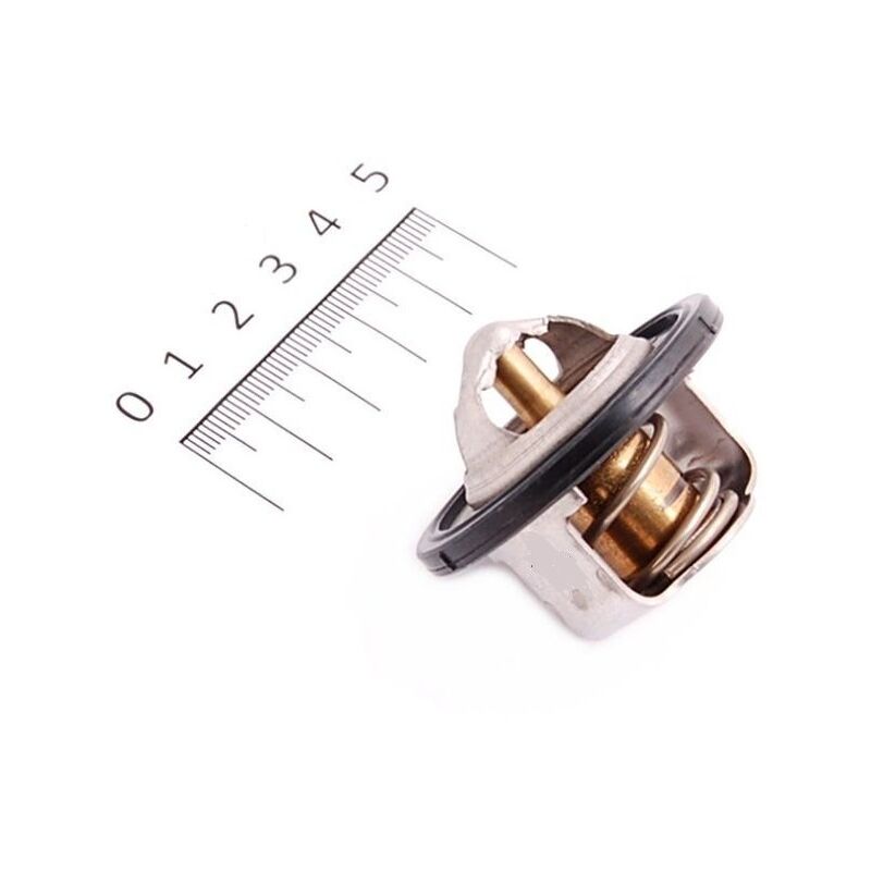 Image of Yamaha 2YK-12411-00 Radiator thermostat TDR 240&hellip;