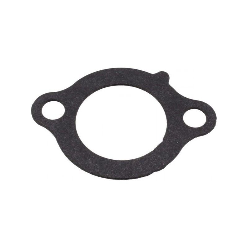 Yamaha 5JW-12213-00 Tensioner housing gasket - FJR 1300 02-13