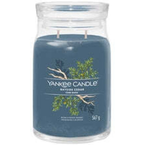 YANKEE CANDLE BAYSIDE CEDAR BOUGIE EN CIRE CYLINDRE FRAICHEUR BLEU 1 PIÈCE(S) (1629980E)