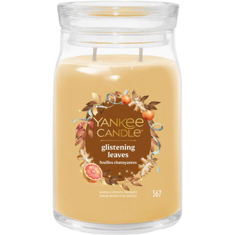 YANKEE CANDLE BOUGIE PARFUMÉE DANS UN VERRE (GRAND) - FEUILLES BRILLANTES - BOUGIE SIGNATURE « COLLECTION AUTOMNE 2025 » - DURÉE