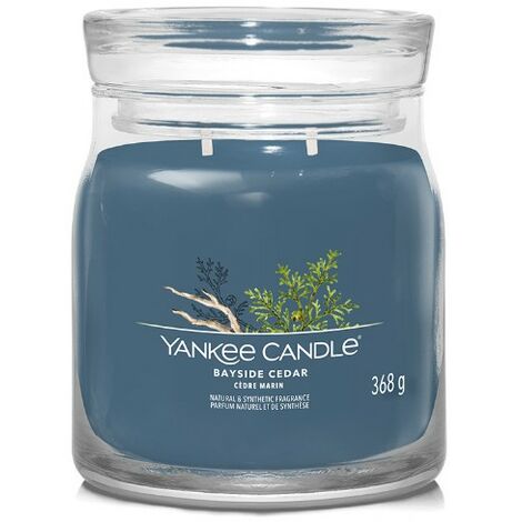 YANKEE CANDLE CANDELA MEDIA SIGNATURE BAYSIDE CEDAR