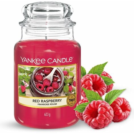 Yankee Candle Candela profumata in giara grande Amore invernale Durata Fino  a 150 Ore regalo perfetto