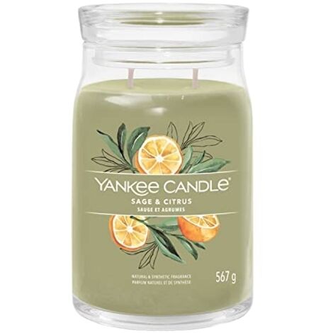 Yankee Candle Sage & Citrus Bougie parfumée vert clair