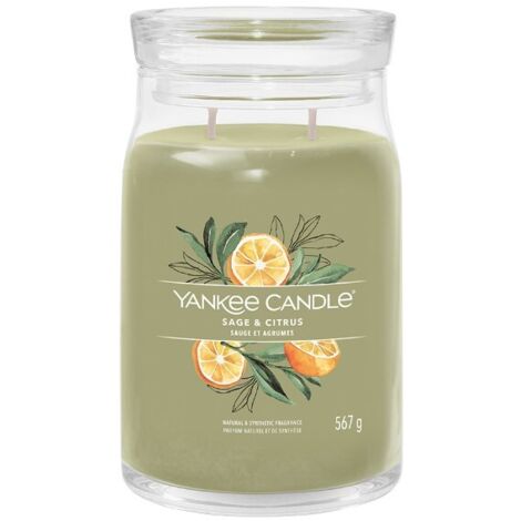 Yankee Candle Salvia & Agrumi Candela profumata verde chiaro