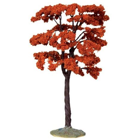Yellowwood Tree, Large Cod. 44794