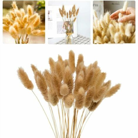 YIDOMDE 60Pcs 40cm Fleurs Séchées Naturelles Herbe de Pampa, d'herbe Queue de Lapin Bouquet de Fleurs pour Chambre à Coucher Intérieur la Décoration de la Maison de Mariage