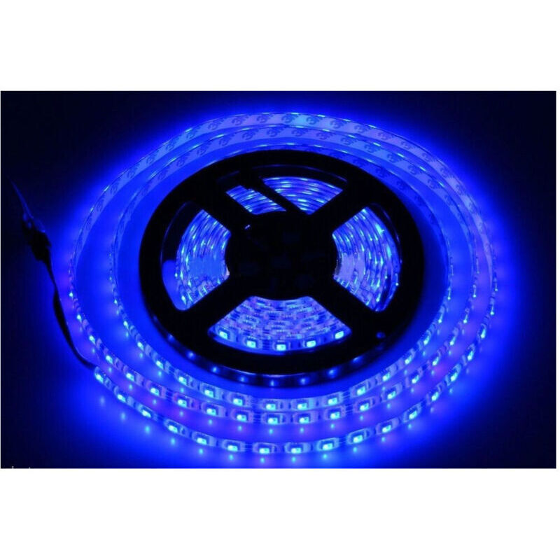 Bobine de ruban led flexible 5 m 5050 adhésif pour intérieur et extérieur IP65 - Bleu - Ymyny