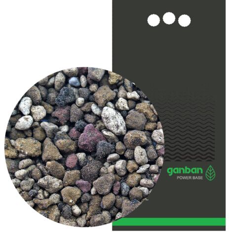 YOKUCHI GANBAN POWER BASE 6L