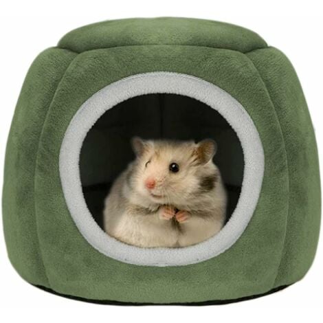 Coton hamster