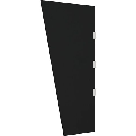 YOUTHUP Panneau latéral d'auvent de porte Noir 50x100 cm Verre trempé - Noir