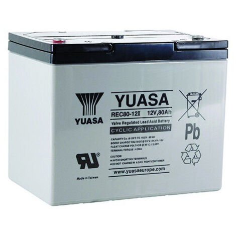 Yuasa – Batterie plomb 12V 80Ah REC8012 – Technologie VRLA sans entretien – Pour systèmes d'alarme et onduleurs – Dimensions 259x168x212.5mm - REC80-12I