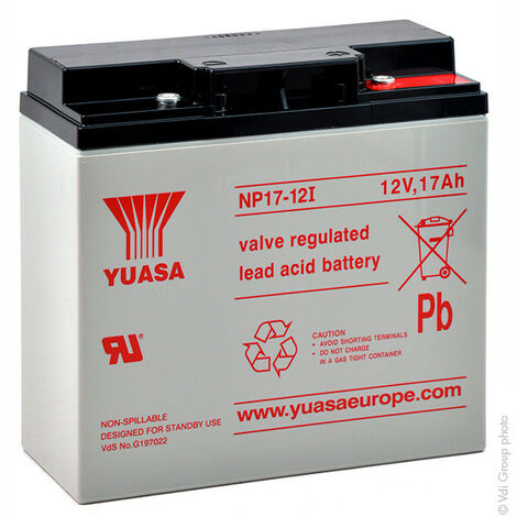 Yuasa - Batterie plomb AGM YUASA NP17-12I 12V 17Ah M5-F