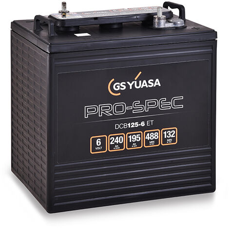 Yuasa - Batterie traction YUASA PRO-SPEC DCB125-6 6V 240Ah M8-V