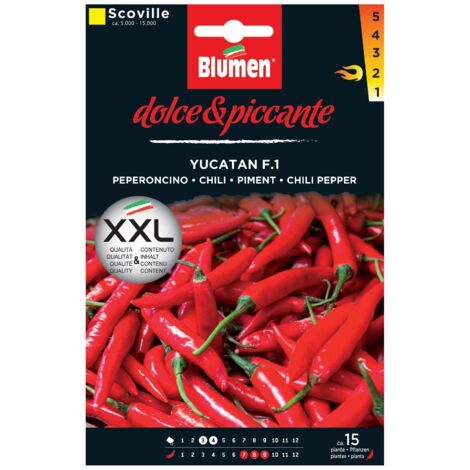 Yucatan-Pfeffersamen im Umschlag