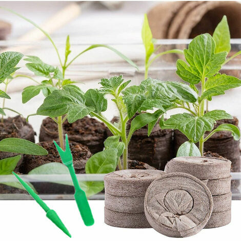Z02QDD-Professionnel Granules de Tourbe Plante DéMarrage Bloc de Sol Bouchons de Semis PéPinièRe de Jardin Environnemental 50 PièCes