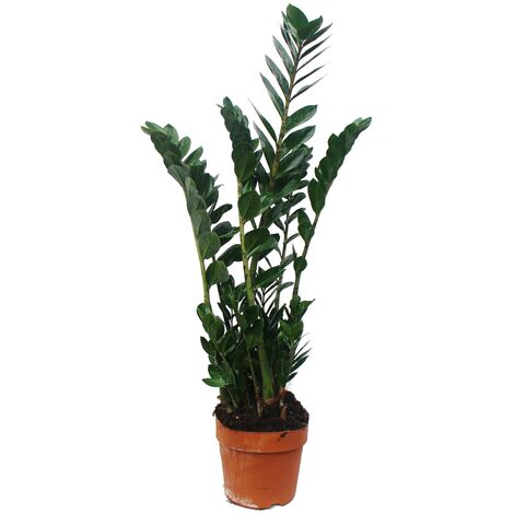 Plante Monstera artificielle avec pot 45 cm Vert vidaXL212211