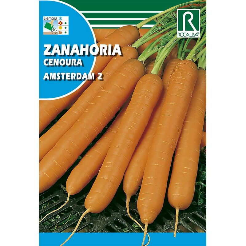 

Semillas de Zanahoria Ámsterdam 2