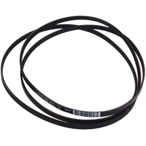 Zanussi - correa de transmisión poly-v 1884 h5 - 1255028100 - 7321420352085