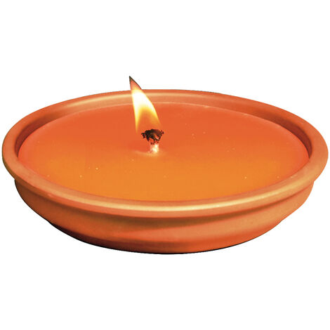 Zanza Tiger Citronella in Cotto 14 cm - 2 Pezzi