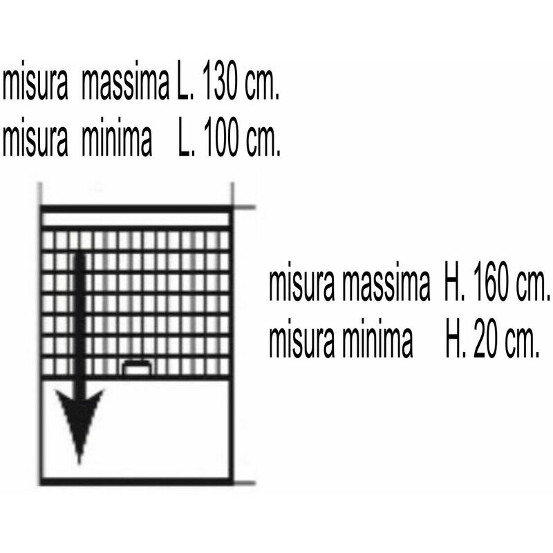 Una immagine