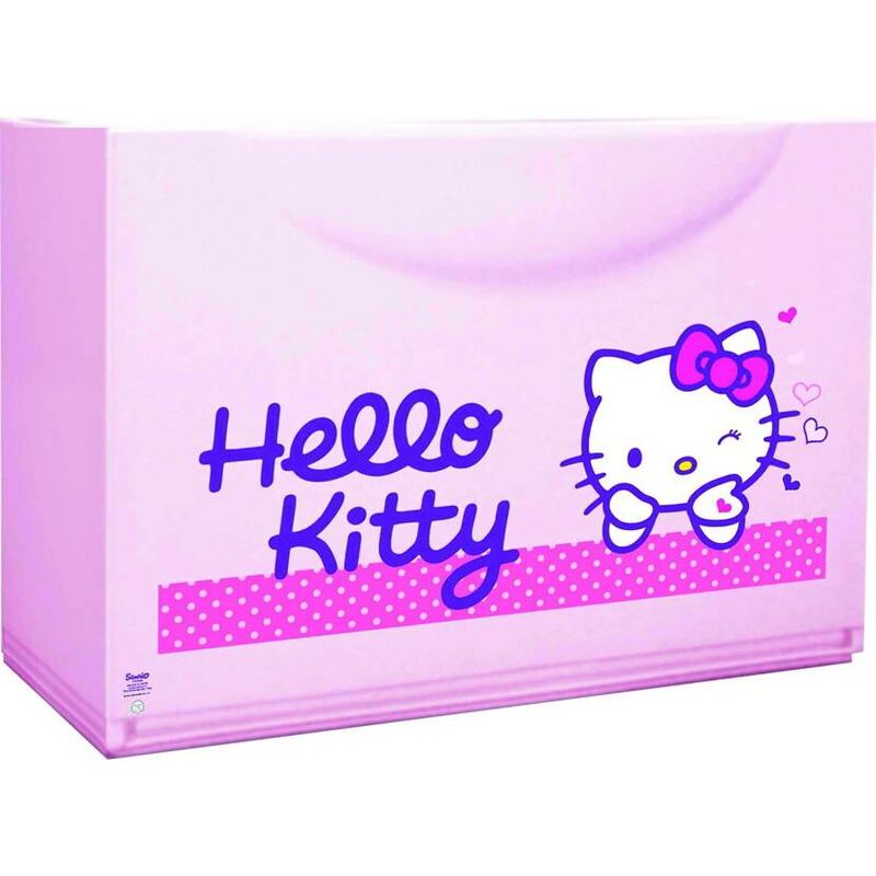 

Zapatero decorado Hello Kitty
