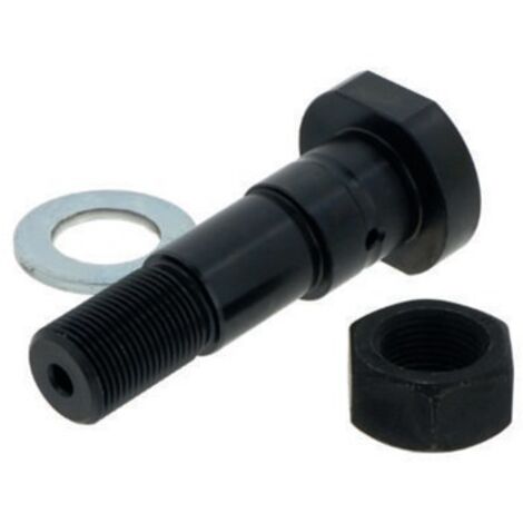 Zapfen LFE12-45 -A1-RB ID 20mm AD 50mm INA