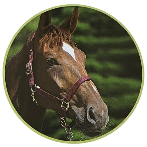 ZAR Cabezada para caballos PONY