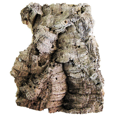Zattera in sughero per orchidee e tillandsia c.ca 100x30 cm