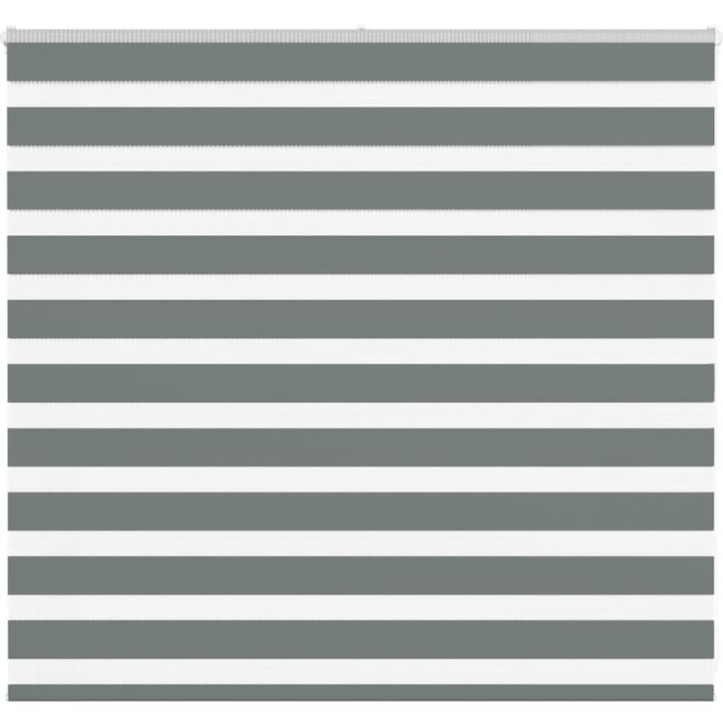 Zebra Blind Dark Grey 165x100 Cm Fabric Width 160.9 Cm Polyester Vidaxl
