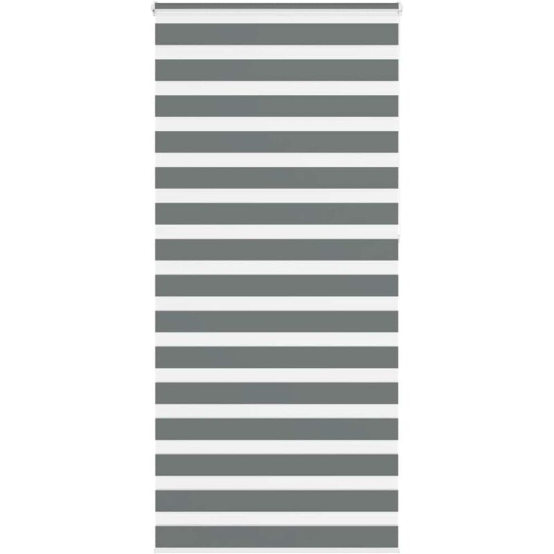 Zebra Blind Dark Grey 100x230 Cm Fabric Width 95.9 Cm Polyester Vidaxl
