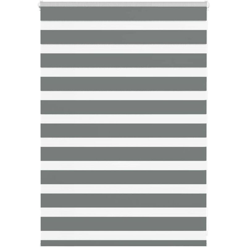 Zebrarollo Dunkelgrau 105x100 Cm Stoffbreite 100, 9 Cm Polyester Vidaxl