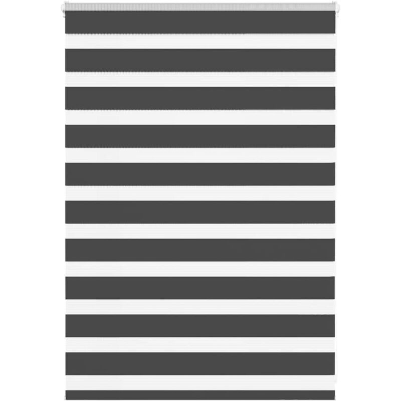 Zebrarollo Schwarz 95x100 Cm Stoffbreite 90, 9 Cm Polyester Vidaxl