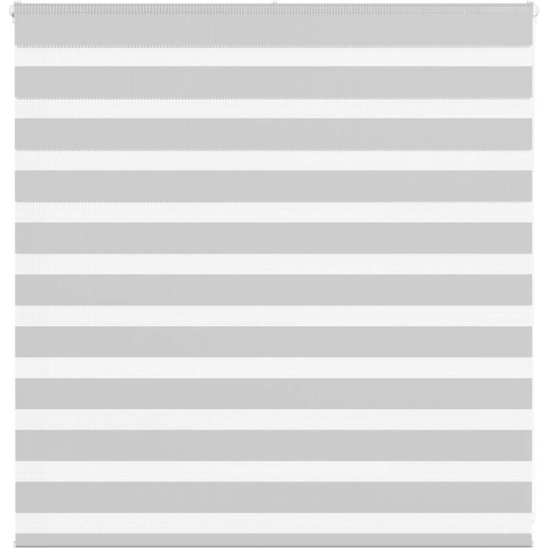 Zebrarollo Hellgrau 140x100 Cm Stoffbreite 135, 9 Cm Polyester Vidaxl