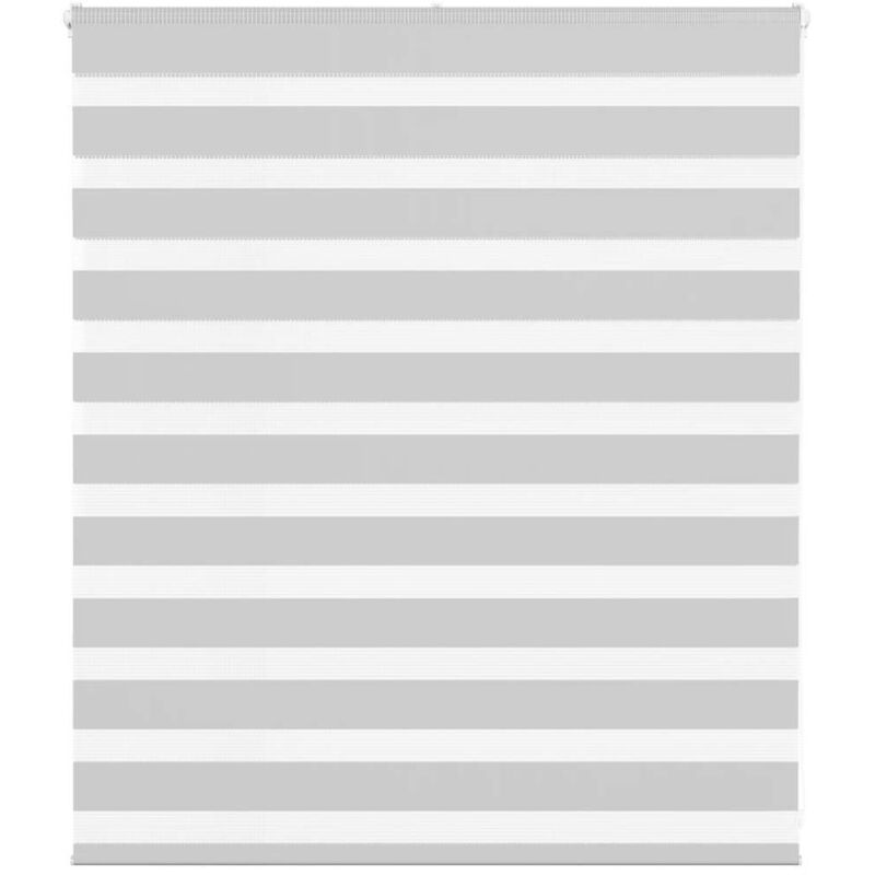 Zebrarollo Hellgrau 125x100 Cm Stoffbreite 120, 9 Cm Polyester Vidaxl